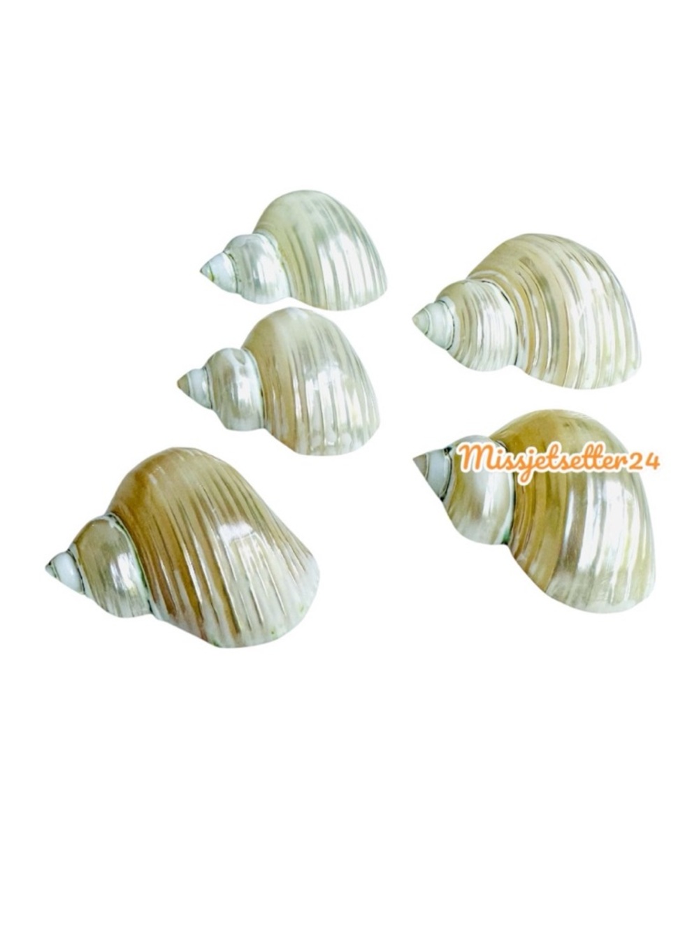 EUC Set of 5 Vintage 1980’s Mother of Pearl Sea Shell Napkin Holders Rings
